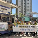 해뜰안애 이미지