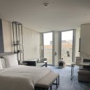 주식회사 베르그앤릿지 | 포시즌스호텔서울 애견동반 펫캉스후기+조식까지!