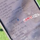 덮밥물래 | 포항 영일대 물회 맛집, 카페 추천/마라도횟집 헤이안 후기