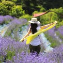 백두농장2 이미지