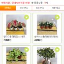 범수농장 이미지