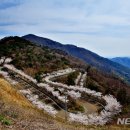 자굴산순환도로 이미지