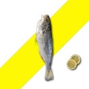 태경수산 이미지