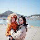 꿈의 그린 펜션 이미지