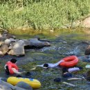 풀빛다락 이미지