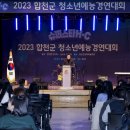 합천군 문화예술회관 대공연장 이미지