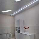 애견미용실 이미지