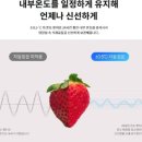 [하이마트 김천점]“지금이 기회! 원룸/사무실용 LG 일반 냉장고 인기 3모델 행사 총정리” 이미지
