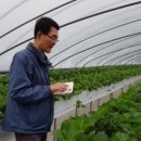 최종명농장 이미지