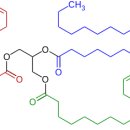 오일박사 이미지