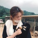안혜경 카카오 검색결과