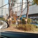 이름없는과일야채안양메가트리아점 | 안양과일 안양과일가게 24시간 무인과일가게 이름없는과일야채 안양메가트리아점