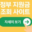 정부 지원금 조회 사이트 어디? 이미지