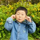 대전청사 다솜어린이집 이미지