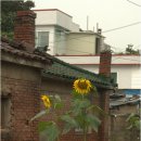 삼거리 정육점 이미지