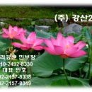 강산부동산컨설팅