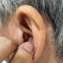 수원-1375 이미지