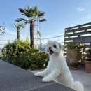 뮤즈 하우스 이미지