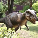 고산로126번길 이미지