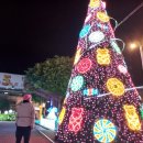 11545-12-04-03 | [#04] 타이베이&amp;타이중 10박 11일 간단 일정 및 경비 후기 #2(feat. 12월) ~ 양명산 등산, 단수이 등