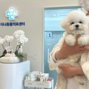 다나동물의료센터 이미지