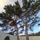 박태준기념관 이미지