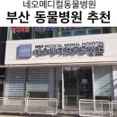 네오 동물병원 이미지