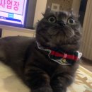 민수네집 이미지