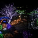 별빛정원B 이미지