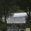 3253 | 춘천 현지인 맛집으로 정평난 마당골 오리고기 후기