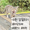 온마을축제) 힐링 입욕제 만들기(11:00~12:00) | 이천 당일치기 여행 <라당도예 후기>,카페 희원, 흥만소 빵 후기