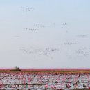 공원플라워 이미지