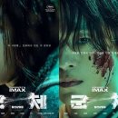 주식회사 와우포인트 티스토리