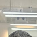 쿨케어 | 강남역 미용실 [차심 본점] 붉은 기 없는 쿨애쉬브라운 염색 + 단백질 케어 솔직 후기