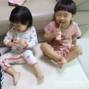 서연