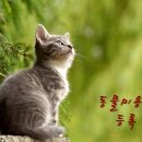 E&F행정사사무소 이미지