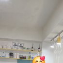 멍발소 이미지