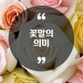 정운석유