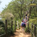 2.1,(토)/ 대부도 탄도항 누에섬&amp;선재도 목섬, 뻘다방, 대부구봉도 해솔길 낙조감상신청하세요 이미지