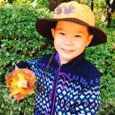 한울숲유치원 이미지