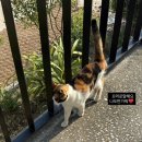 포스트커피로스터리 | 양산카페 히떼로스터리 신상 커피맛집 feat.애견동반가능