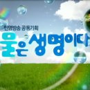 화천1리 이미지