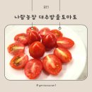 여울농장 | 당도 높은 방울토마토, 청년농부 나랑농장 대추방울토마토 후기