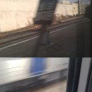 (주)수호푸드