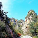 산처럼물처럼 이미지