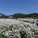 금산홍삼휴게소
