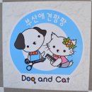 부산애견팡팡 이미지