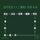 용신41 | 십이운성(十二運星) 개념과 공명명리학적 재해석