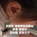 아이손원주 이미지