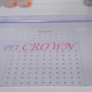 기장애견 이미지